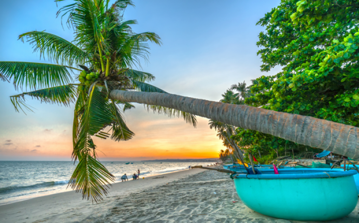 Top 5 Epic Things To Do in Mui Ne 2026 That Charm Any Travel Fanatics