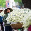 vnza hanoi 14