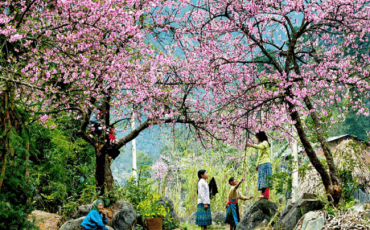 Northern Vietnam Motorbike Tour