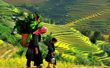 The Ultimate Sapa Travel Guide for South African in 2025