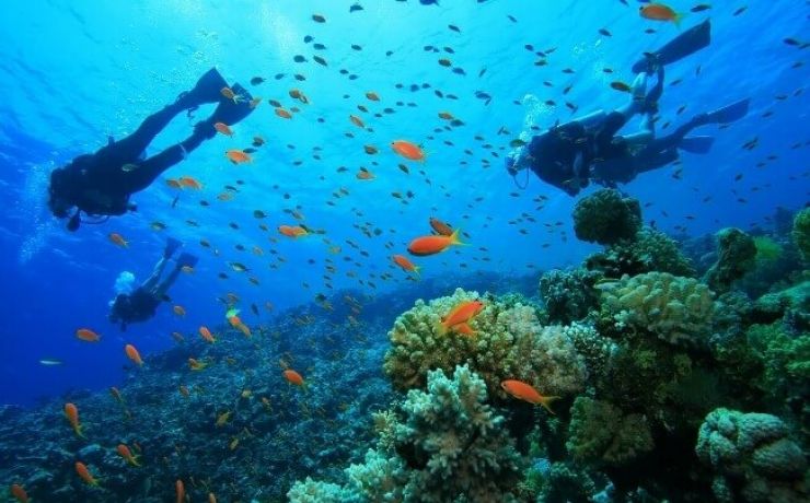 Best Beaches for Diving in Vietnam