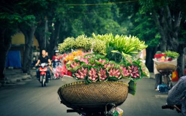 Top 7 Best Things to Do in Hanoi in 2025