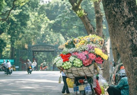 Hanoi