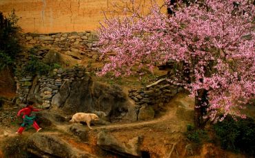 Amazing  Adventure in North Vietnam