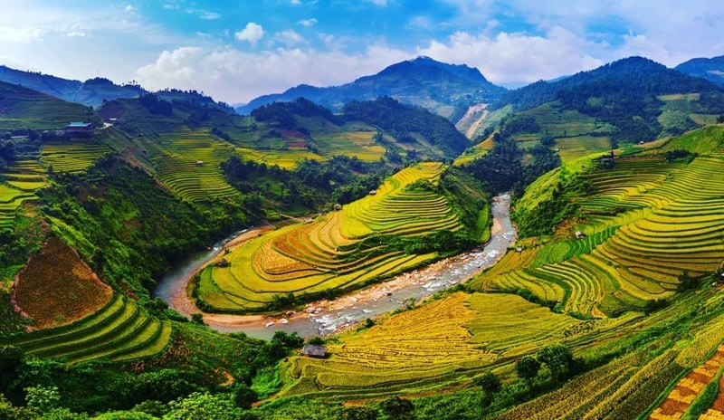 Rice_Terraces_of_Sapa_and_Mu_Cang_Chai