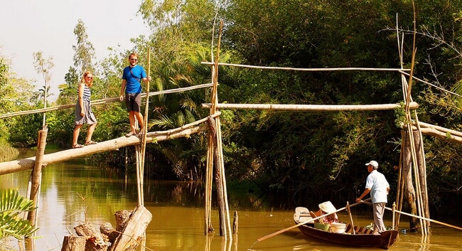 Monkey bridge in Mekong Delta