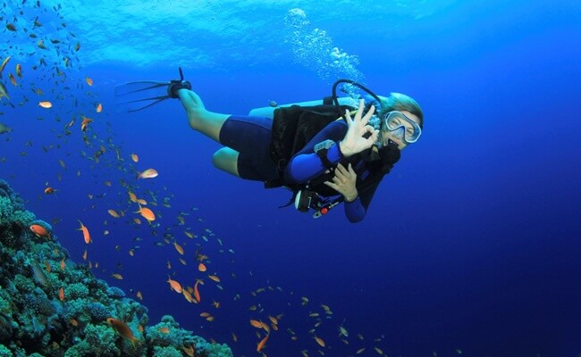 Swimming with Fishes in Son Tra Peninsula