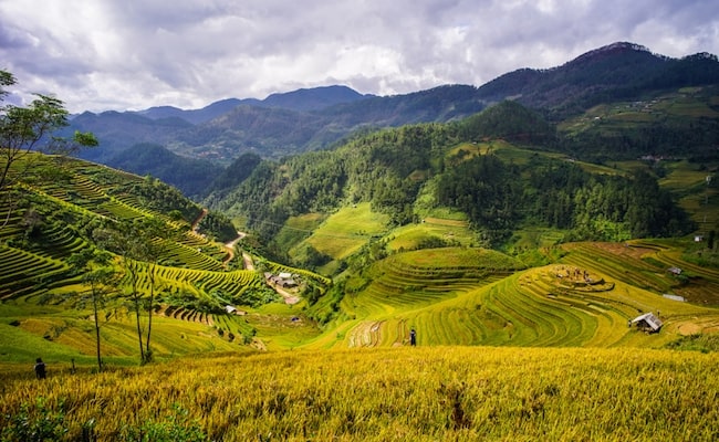 Terraced rice field on mountains in Mai Chau Township, Northern Vietnam