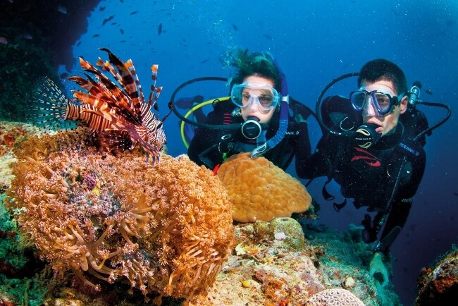 Lionfish in Phu Quoc Island, Vietnam