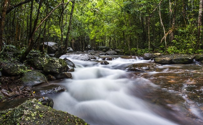 Tranh Waterfall - A Beautiful Sites at the heart of Phu Quoc National Park