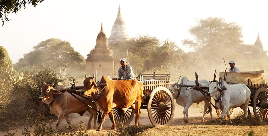 When is the Best Time to Visit Myanmar in 2024?